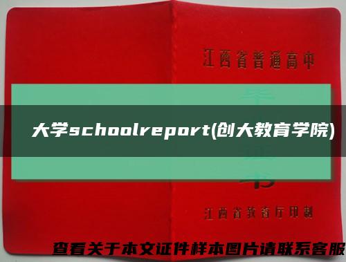 創価大学schoolreport(创大教育学院)缩略图