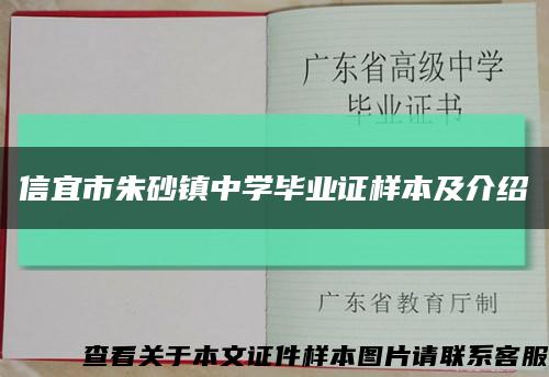 信宜市朱砂镇中学毕业证样本及介绍缩略图