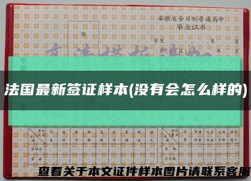 法国最新签证样本(没有会怎么样的)缩略图