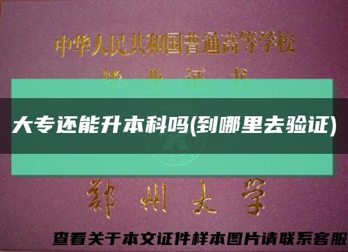 大专还能升本科吗(到哪里去验证)缩略图