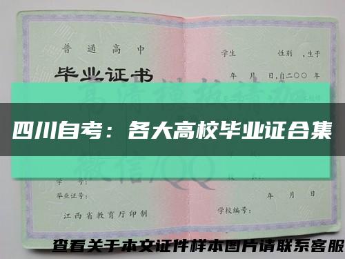 四川自考：各大高校毕业证合集缩略图