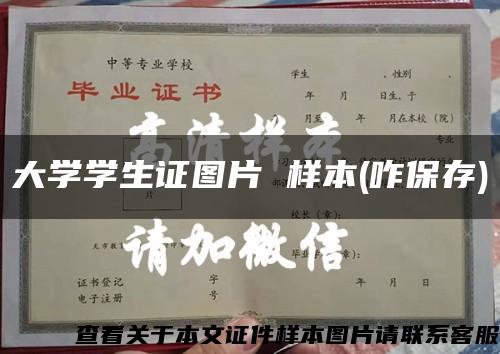 大学学生证图片 样本(咋保存)缩略图