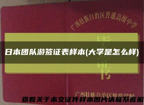 日本团队游签证表样本(大学是怎么样)缩略图