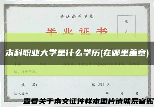 本科职业大学是什么学历(在哪里盖章)缩略图