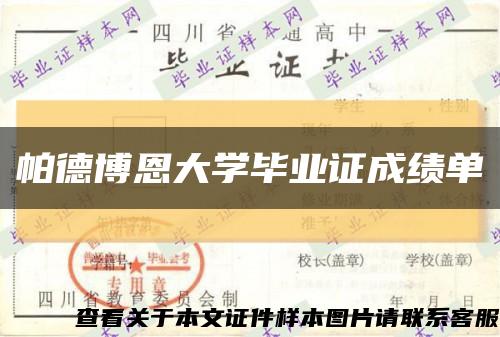 帕德博恩大学毕业证成绩单缩略图