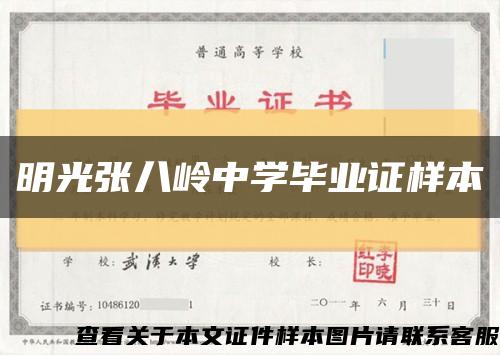 明光张八岭中学毕业证样本缩略图