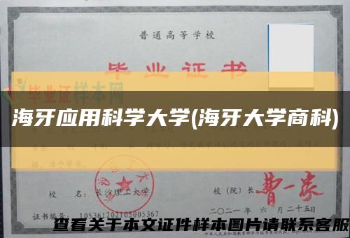 海牙应用科学大学(海牙大学商科)缩略图