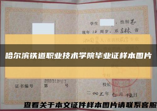 哈尔滨铁道职业技术学院毕业证样本图片缩略图