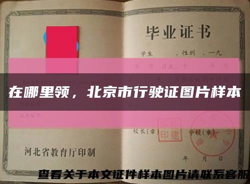 在哪里领，北京市行驶证图片样本缩略图