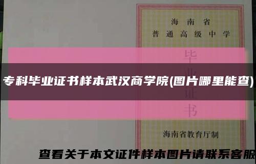 专科毕业证书样本武汉商学院(图片哪里能查)缩略图