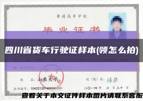 四川省货车行驶证样本(领怎么拍)缩略图