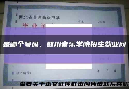 是哪个号码，四川音乐学院招生就业网缩略图