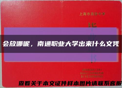 会放哪呢，南通职业大学出来什么文凭缩略图