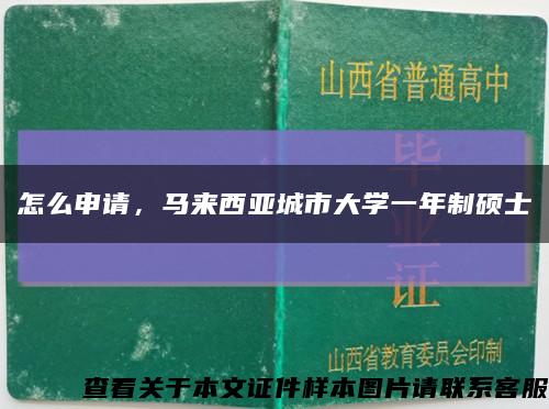 怎么申请，马来西亚城市大学一年制硕士缩略图