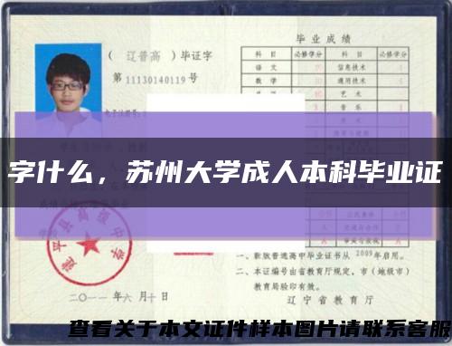 字什么，苏州大学成人本科毕业证缩略图