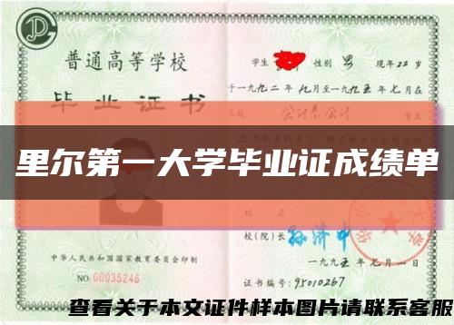 里尔第一大学毕业证成绩单缩略图