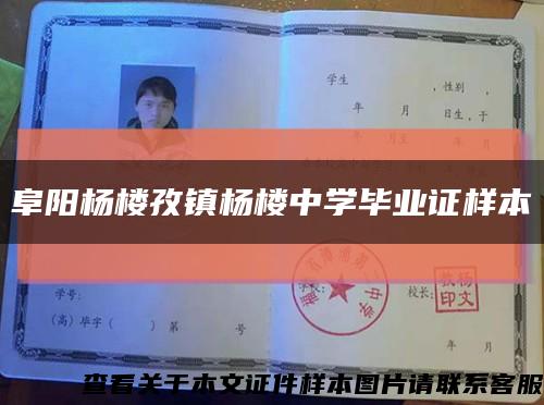 阜阳杨楼孜镇杨楼中学毕业证样本缩略图