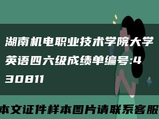 湖南机电职业技术学院大学英语四六级成绩单编号:430811缩略图