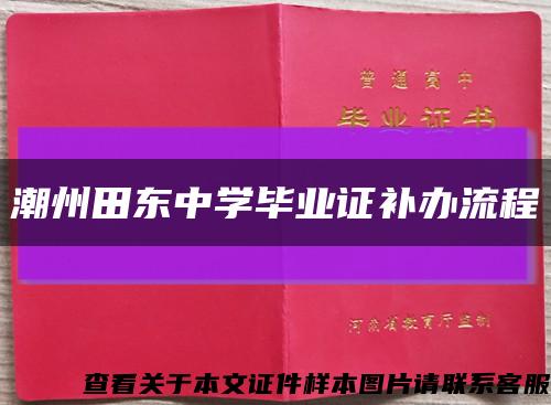 潮州田东中学毕业证补办流程缩略图