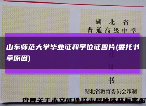 山东师范大学毕业证和学位证图片(委托书拿原因)缩略图