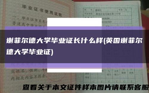 谢菲尔德大学毕业证长什么样(英国谢菲尔德大学毕业证)缩略图