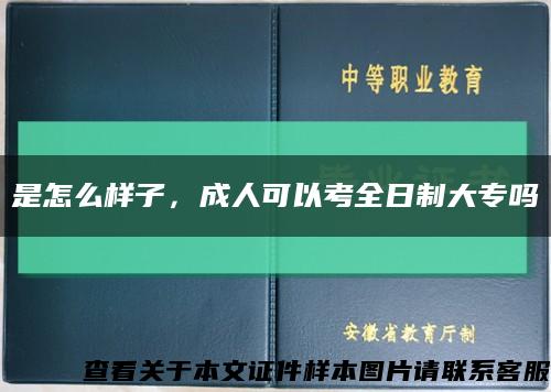 是怎么样子，成人可以考全日制大专吗缩略图