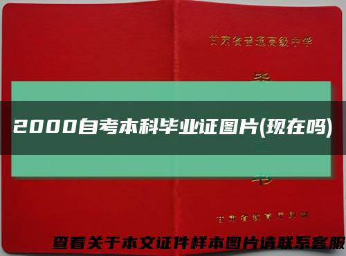 2000自考本科毕业证图片(现在吗)缩略图