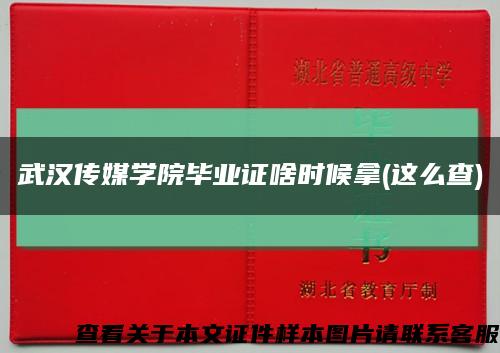 武汉传媒学院毕业证啥时候拿(这么查)缩略图