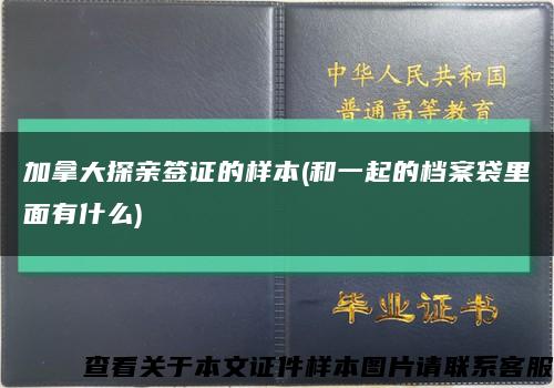 加拿大探亲签证的样本(和一起的档案袋里面有什么)缩略图