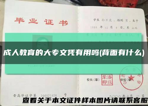 成人教育的大专文凭有用吗(背面有什么)缩略图