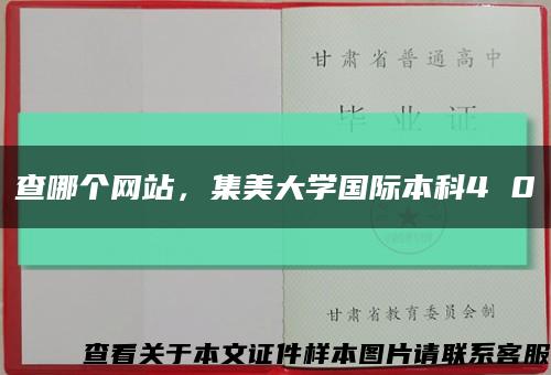 查哪个网站，集美大学国际本科4 0缩略图