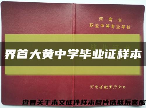 界首大黄中学毕业证样本缩略图