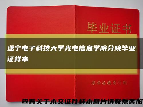 遂宁电子科技大学光电信息学院分院毕业证样本缩略图