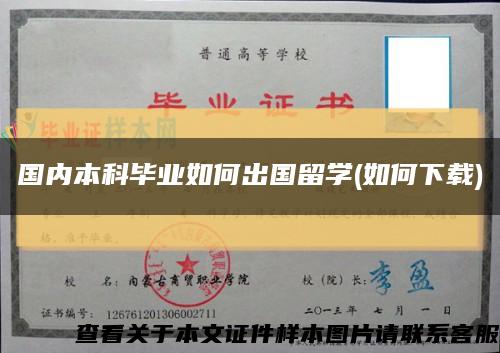 国内本科毕业如何出国留学(如何下载)缩略图