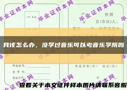 我该怎么办，没学过音乐可以考音乐学院吗缩略图