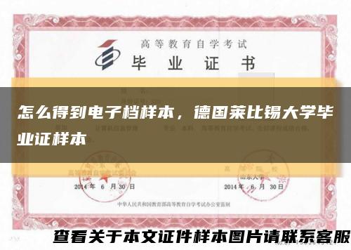 怎么得到电子档样本，德国莱比锡大学毕业证样本缩略图