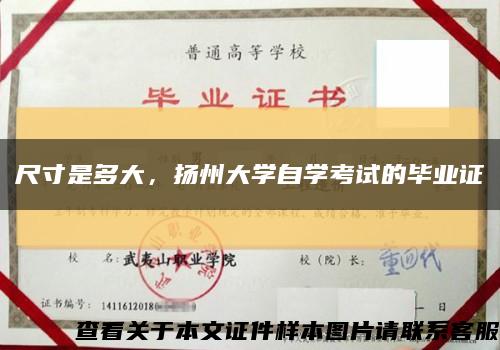 尺寸是多大，扬州大学自学考试的毕业证缩略图