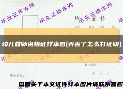 幼儿教师资格证样本图(弄丢了怎么打证明)缩略图