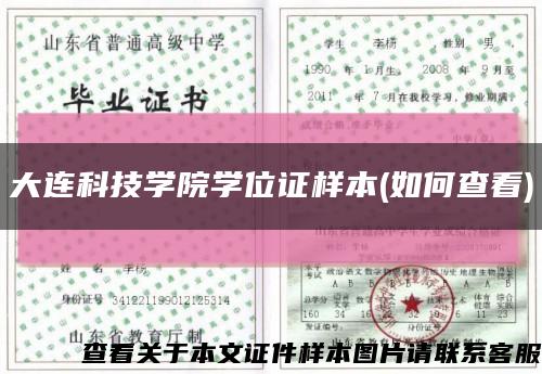 大连科技学院学位证样本(如何查看)缩略图