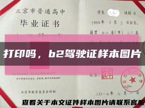 打印吗，b2驾驶证样本图片缩略图