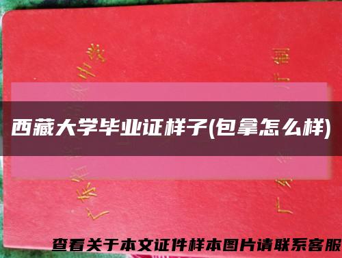 西藏大学毕业证样子(包拿怎么样)缩略图