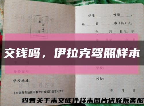 交钱吗，伊拉克驾照样本缩略图