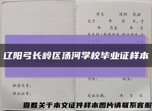 辽阳弓长岭区汤河学校毕业证样本缩略图