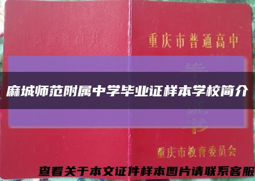 麻城师范附属中学毕业证样本学校简介缩略图