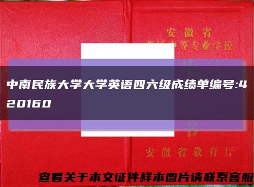 中南民族大学大学英语四六级成绩单编号:420160缩略图