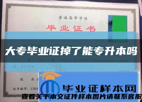 大专毕业证掉了能专升本吗缩略图