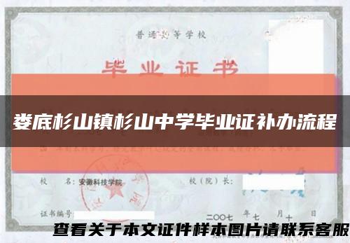 娄底杉山镇杉山中学毕业证补办流程缩略图