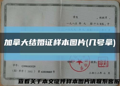 加拿大结婚证样本图片(几号拿)缩略图