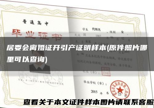 居委会离婚证开引产证明样本(原件照片哪里可以查询)缩略图