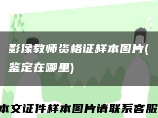 影像教师资格证样本图片(鉴定在哪里)缩略图